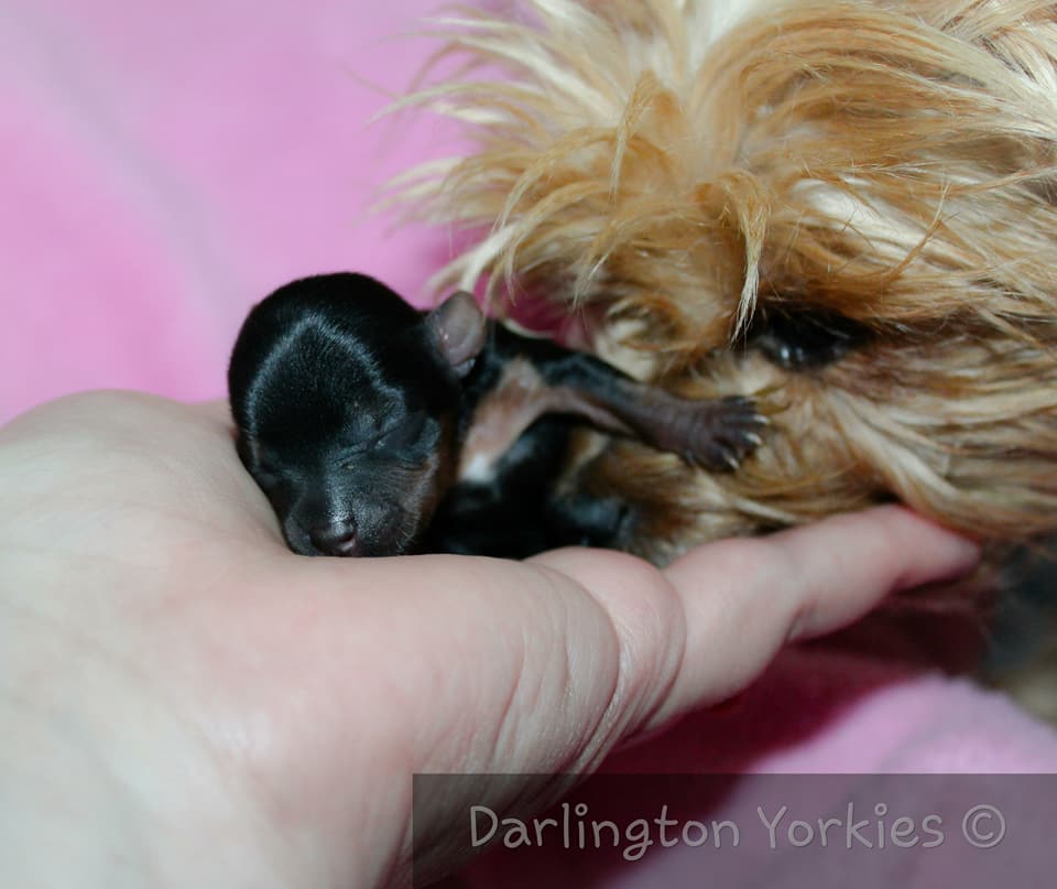 31743518_600940996932876_628744136521940992_n