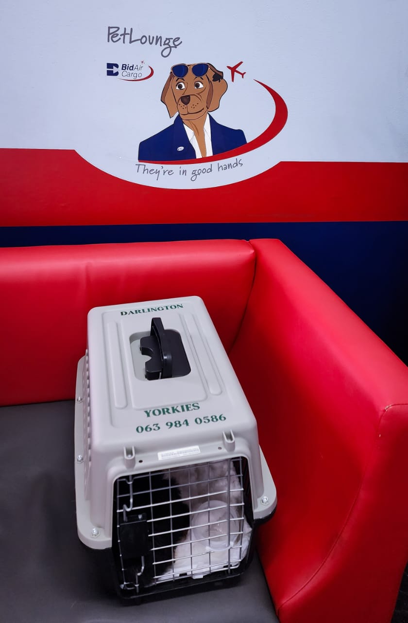 Pet Lounge with crate