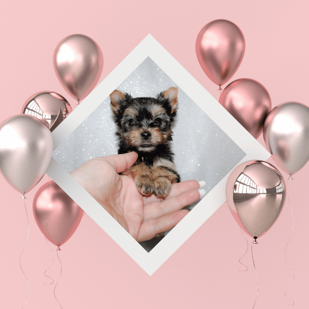 Pink and White Happy Birthday instagram post (1)