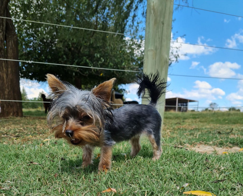 WhatsApp Image 2021-05-04 at 16.31.34