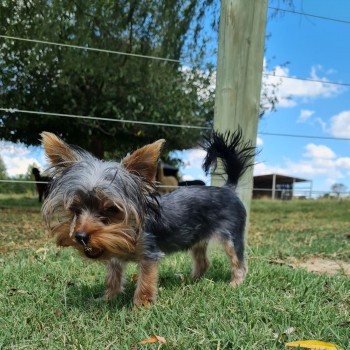 WhatsApp Image 2021-05-04 at 16.31.34