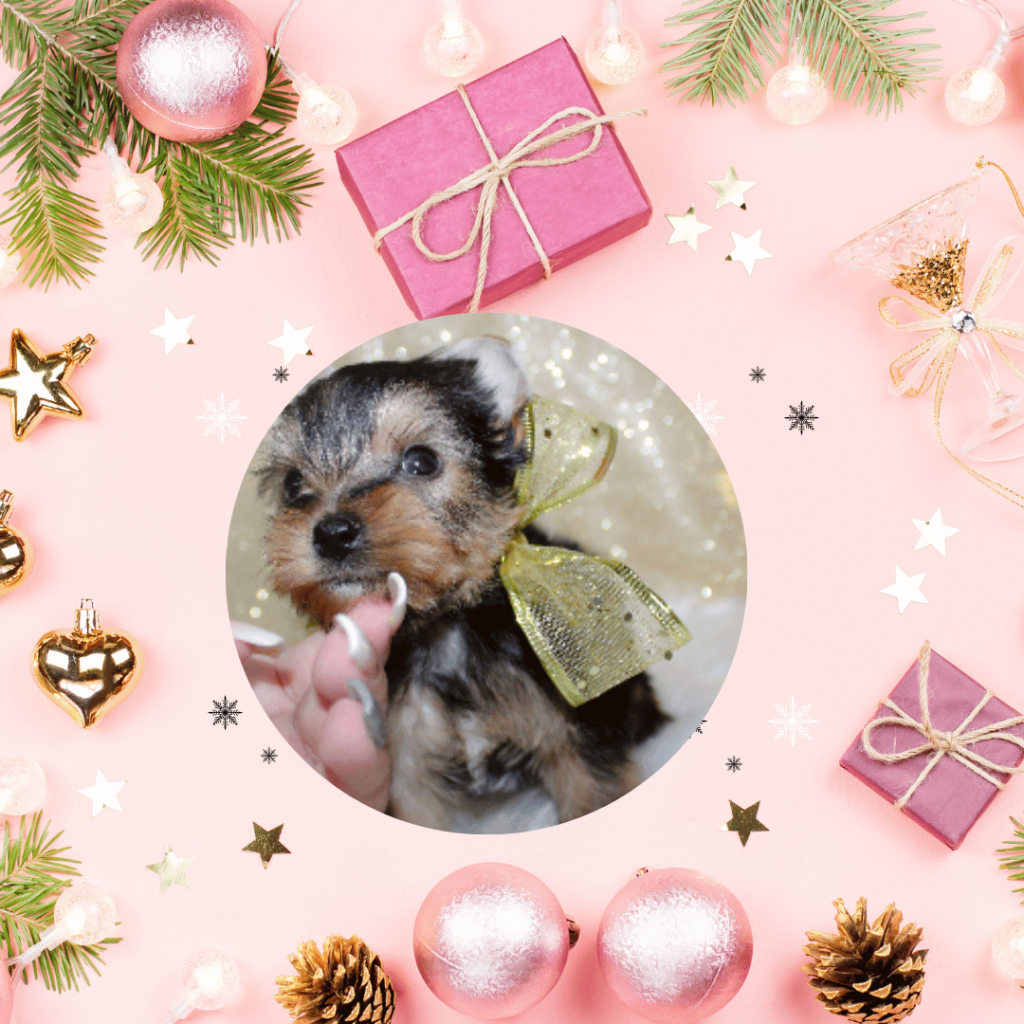 pink modern merry christmas instagram post