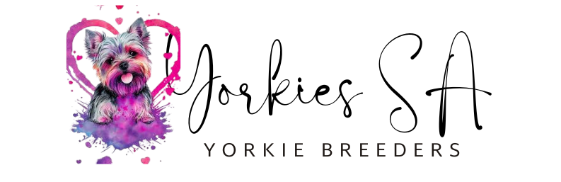 yorkies sa link logo